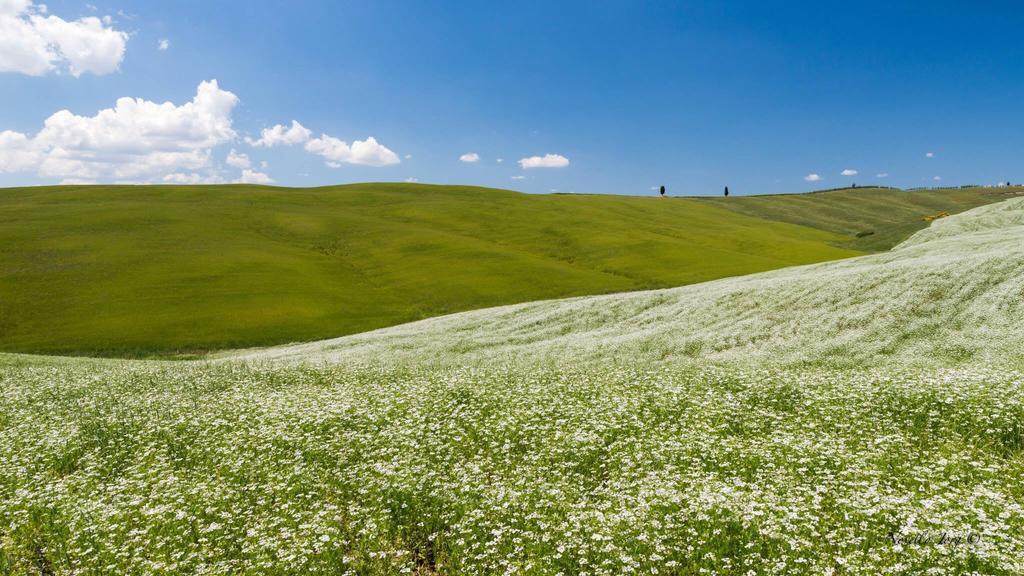 Antica Locanda Pienza Zewnętrze zdjęcie